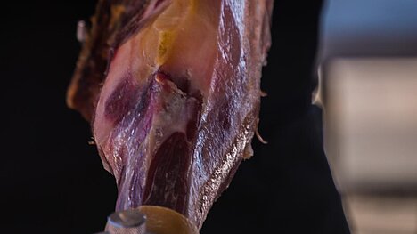 A representation of Serrano ham bone