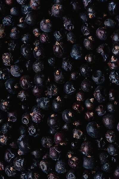 A representation of Juniper berries