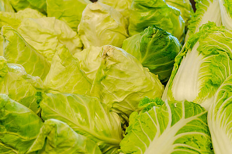 A representation of Pointed cabbage