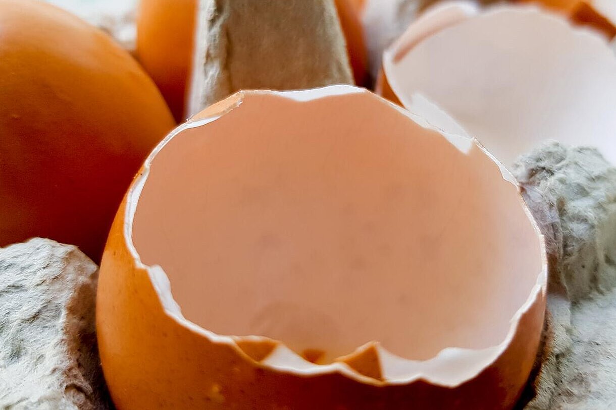 Eierschale auf einem Tablett in einer Küche, Nahaufnahme