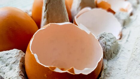 Una representación de Polvo de cáscara de huevo
