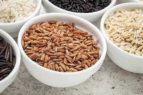 A representation of Brown rice