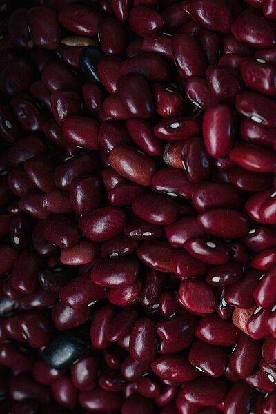 A representation of Kidney beans