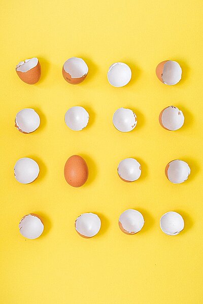 A representation of Eggshells