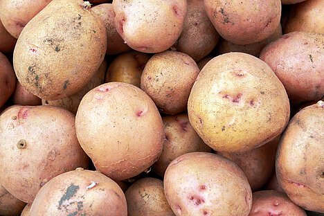 Een weergave van Aardappeleiwit