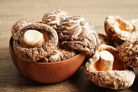 Een weergave van Shiitake paddenstoelen