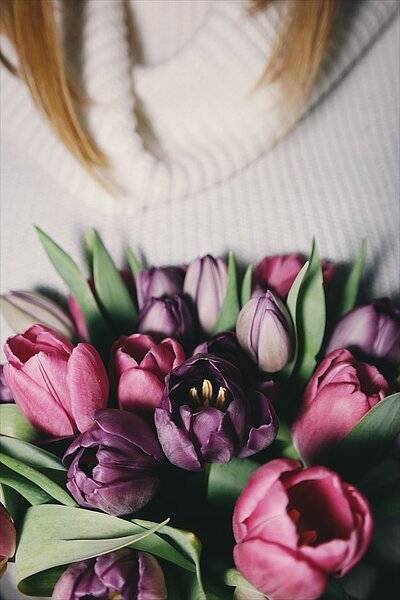 Reprezentacja Tulipany