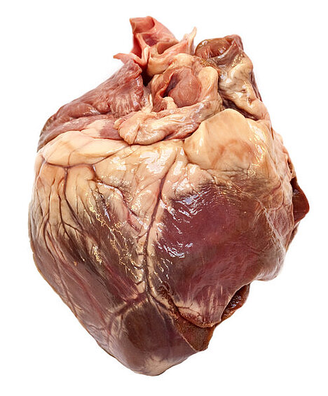 A representation of Heart