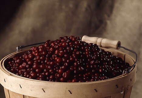 A representation of Cranberries
