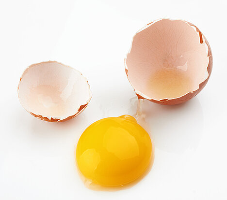Una representación de Huevo entero