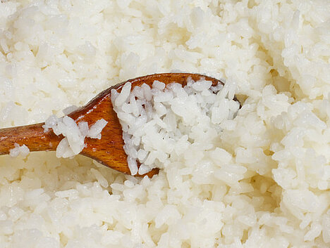 Reprezentacja Kiełki ryżu