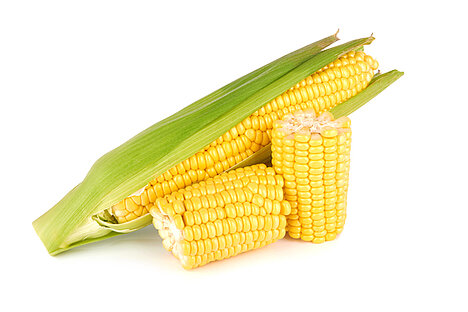 Reprezentacja Zarazki kukurydzy