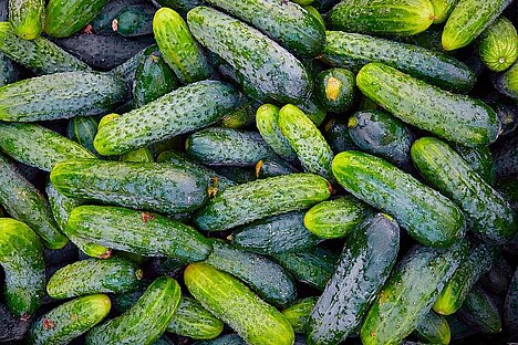 A representation of Cucumbers