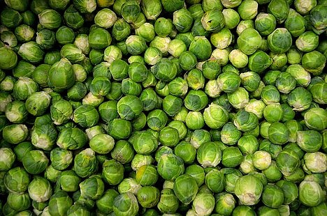 A representation of Brussels sprouts