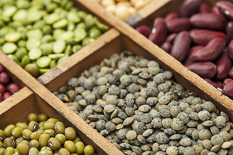 A representation of green lentils