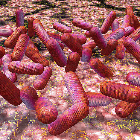 En repræsentation af Escherichia coli