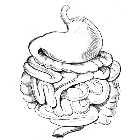 A representation of Stomach