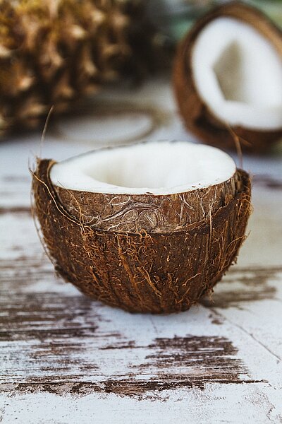 Reprezentacja Mleko kokosowe w proszku